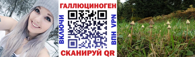 кракен как войти  Шарыпово  Псилоцибиновые грибы ЛСД  купить наркоту 